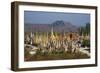 The 1045 Stupas of Shwe Inn Thein Temple-Tuul-Framed Photographic Print