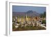 The 1045 Stupas of Shwe Inn Thein Temple-Tuul-Framed Photographic Print