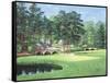 The 11th At Augusta-White Dogwood-Bernard Willington-Framed Stretched Canvas