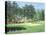 The 11th At Augusta-White Dogwood-Bernard Willington-Stretched Canvas