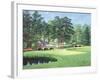 The 11th At Augusta-White Dogwood-Bernard Willington-Framed Art Print