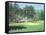 The 11th At Augusta-White Dogwood-Bernard Willington-Framed Stretched Canvas