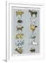 The 12 Creatures of the Chinese Zodiac Positioned in Opposing Pairs-null-Framed Photographic Print