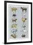 The 12 Creatures of the Chinese Zodiac Positioned in Opposing Pairs-null-Framed Photographic Print