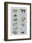 The 12 Creatures of the Chinese Zodiac Positioned in Opposing Pairs-null-Framed Photographic Print