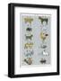 The 12 Creatures of the Chinese Zodiac Positioned in Opposing Pairs-null-Framed Photographic Print