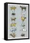 The 12 Creatures of the Chinese Zodiac Positioned in Opposing Pairs-null-Framed Stretched Canvas