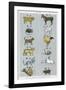 The 12 Creatures of the Chinese Zodiac Positioned in Opposing Pairs-null-Framed Photographic Print