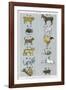 The 12 Creatures of the Chinese Zodiac Positioned in Opposing Pairs-null-Framed Photographic Print