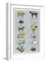 The 12 Creatures of the Chinese Zodiac Positioned in Opposing Pairs-null-Framed Photographic Print