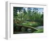 The 12th At Augusta-Larry Dyke-Framed Art Print