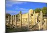 The 12th century stone Church of Agia Kyriaki, Pathos, Cyprus, Eastern Mediterranean Sea, Europe-Neil Farrin-Mounted Photographic Print