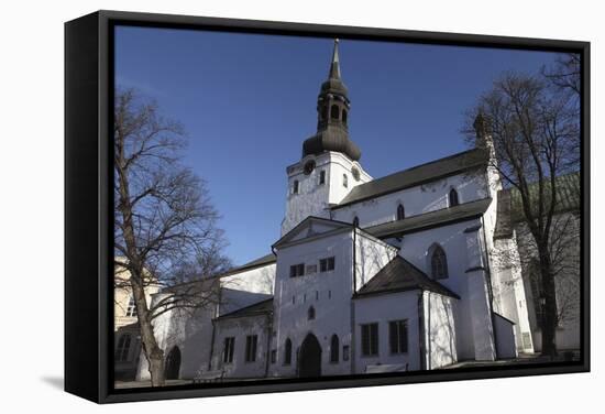 The 13th-Century Dome Church (The Cathedral of Saint Mary the Virgin), in Toompea, the Upper Town-Stuart Forster-Framed Stretched Canvas