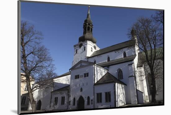 The 13th-Century Dome Church (The Cathedral of Saint Mary the Virgin), in Toompea, the Upper Town-Stuart Forster-Mounted Photographic Print