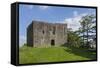 The 13th Century Lydford Castle, Built as a Prison, Devon, England, United Kingdom, Europe-James Emmerson-Framed Stretched Canvas