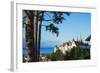 The 15th Century Chateau and Cathedral, Neuchatel, Switzerland, Europe-Christian Kober-Framed Photographic Print