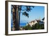 The 15th Century Chateau and Cathedral, Neuchatel, Switzerland, Europe-Christian Kober-Framed Photographic Print