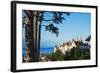 The 15th Century Chateau and Cathedral, Neuchatel, Switzerland, Europe-Christian Kober-Framed Photographic Print