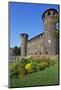 The 15th Century Rear Elevation of Palazzo Madama in Turin, Piedmont, Italy, Europe-Mark Sunderland-Mounted Photographic Print