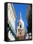 The 16Th Century Cathedral, Old Town, UNESCO World Heritage Site, Cartagena, Colombia-Christian Kober-Framed Stretched Canvas