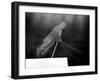 The 1956 Hungarian Uprising-null-Framed Photo