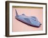 The 1961 Bluebird-null-Framed Photographic Print