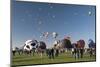 The 2012 Balloon Fiesta, Albuquerque, New Mexico, United States of America, North America-Richard Maschmeyer-Mounted Photographic Print
