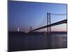 The 25 April Suspension Bridge at Dusk over the River Tagus (Rio Tejo), Christus Rei Is Illuminated-Stuart Forster-Mounted Photographic Print