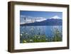 The 2652 metre tall Osorno Volcano, a conical stratovolcano, in northern Patagonia near Puerto Mont-Alex Robinson-Framed Photographic Print