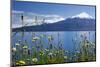 The 2652 metre tall Osorno Volcano, a conical stratovolcano, in northern Patagonia near Puerto Mont-Alex Robinson-Mounted Photographic Print