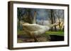 The 3 Geese-Piet Flour-Framed Photographic Print