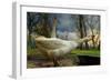 The 3 Geese-Piet Flour-Framed Photographic Print