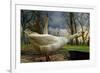 The 3 Geese-Piet Flour-Framed Photographic Print