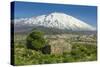 The 3350M Snow-Capped Volcano Mount Etna, Looms over the Maletto Town on its Western Flank, Maletto-Rob Francis-Stretched Canvas
