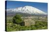 The 3350M Snow-Capped Volcano Mount Etna, Looms over the Maletto Town on its Western Flank, Maletto-Rob Francis-Stretched Canvas