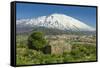 The 3350M Snow-Capped Volcano Mount Etna, Looms over the Maletto Town on its Western Flank, Maletto-Rob Francis-Framed Stretched Canvas