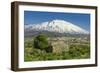 The 3350M Snow-Capped Volcano Mount Etna, Looms over the Maletto Town on its Western Flank, Maletto-Rob Francis-Framed Photographic Print