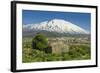 The 3350M Snow-Capped Volcano Mount Etna, Looms over the Maletto Town on its Western Flank, Maletto-Rob Francis-Framed Photographic Print