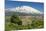 The 3350M Snow-Capped Volcano Mount Etna, Looms over the Maletto Town on its Western Flank, Maletto-Rob Francis-Mounted Photographic Print