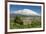 The 3350M Snow-Capped Volcano Mount Etna, Looms over the Maletto Town on its Western Flank, Maletto-Rob Francis-Framed Photographic Print