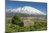 The 3350M Snow-Capped Volcano Mount Etna, Looms over the Maletto Town on its Western Flank, Maletto-Rob Francis-Mounted Photographic Print