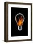 The 4 Elements I-Stefan Eisele-Framed Photographic Print