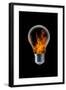 The 4 Elements-null-Framed Art Print