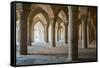 The 48 carved column prayer hall, Masjed-e Vakil (Regent's Mosque), Shiraz, Iran, Middle East-James Strachan-Framed Stretched Canvas