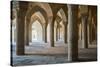 The 48 carved column prayer hall, Masjed-e Vakil (Regent's Mosque), Shiraz, Iran, Middle East-James Strachan-Stretched Canvas