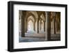 The 48 carved column prayer hall, Masjed-e Vakil (Regent's Mosque), Shiraz, Iran, Middle East-James Strachan-Framed Photographic Print