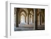 The 48 carved column prayer hall, Masjed-e Vakil (Regent's Mosque), Shiraz, Iran, Middle East-James Strachan-Framed Photographic Print