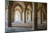 The 48 carved column prayer hall, Masjed-e Vakil (Regent's Mosque), Shiraz, Iran, Middle East-James Strachan-Mounted Photographic Print