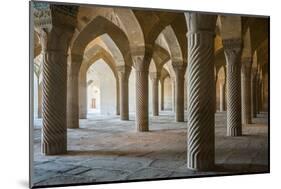 The 48 carved column prayer hall, Masjed-e Vakil (Regent's Mosque), Shiraz, Iran, Middle East-James Strachan-Mounted Photographic Print