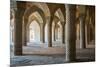 The 48 carved column prayer hall, Masjed-e Vakil (Regent's Mosque), Shiraz, Iran, Middle East-James Strachan-Mounted Photographic Print